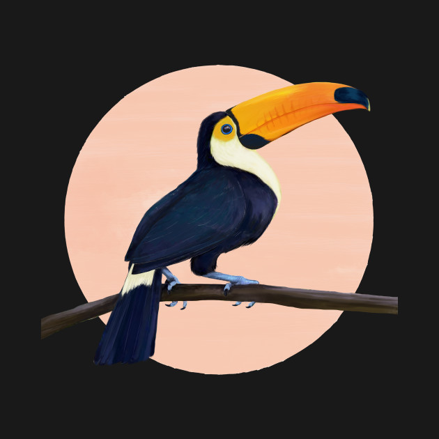 Discover Toucan - Toucan - T-Shirt