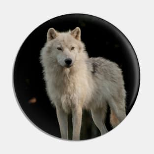Arctic Wolf Pin