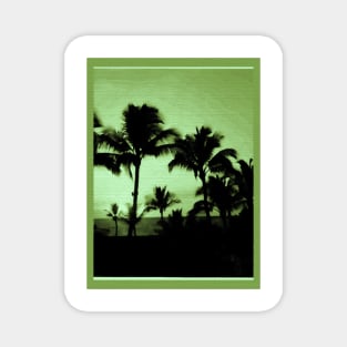 Laguna Palms Magnet