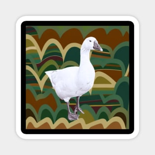 Goose on retro background Magnet