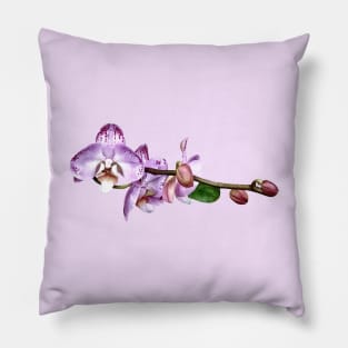 Pale Magenta Phalaenopsis Pillow