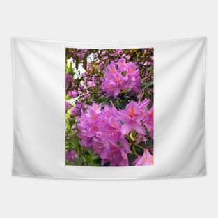 Pink Rhododendron Blossom Tapestry