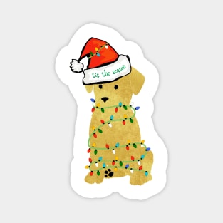 Cute Christmas Golden Retriever Puppy Magnet