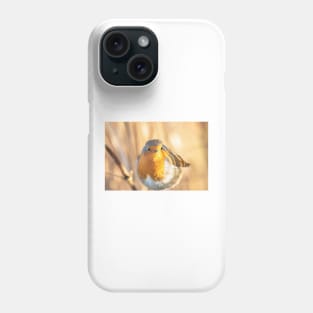 Robin portrait in golden light Phone Case