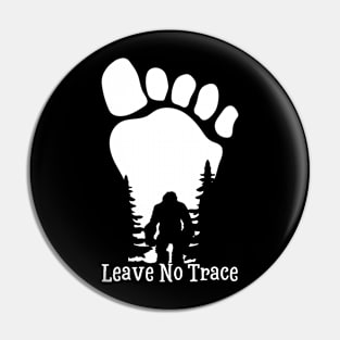 Leave No Trace Pin