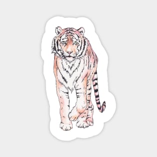 Approaching ink and watercolor tiger Magnet