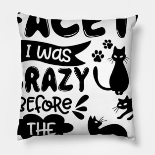 Let_s Face It I Was Crazy Before The Cats Gift Pillow