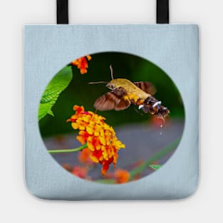 Hummingbird Hawk-moth feeding on an orange flower Tote