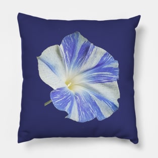 Good Morning, Morning Glory Pillow