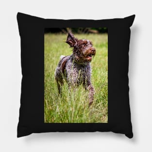 Running in a meadow Spinone Pillow