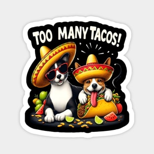 funny cat dog taco Time Cinco de mayo Magnet