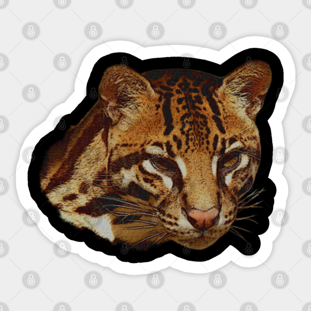 big cat ocelot