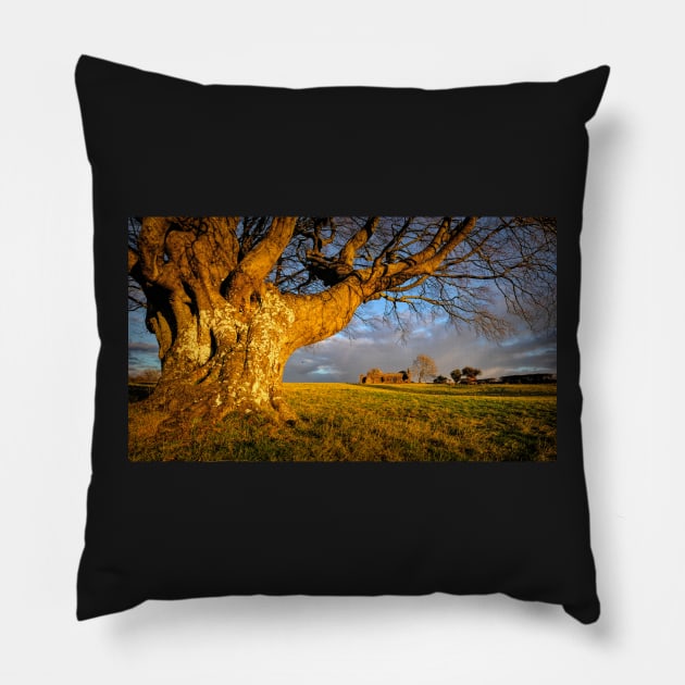 Wood and Stone#1 Pillow by RJDowns