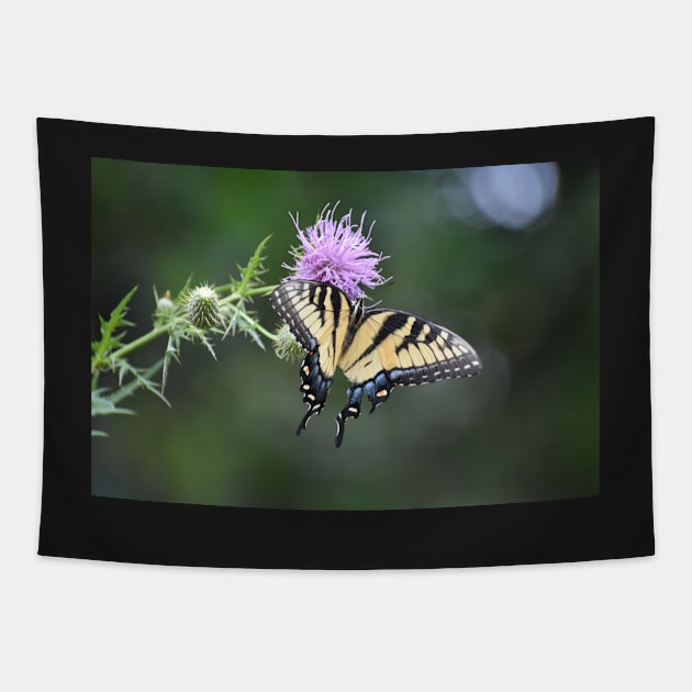 Swallowtail on Thistle Tapestry by ToniaDelozier