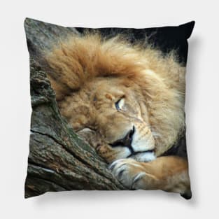 Lion 036 Pillow