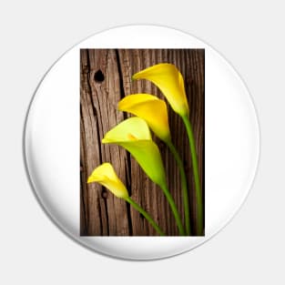 Calla lilies against wooden wall Pin