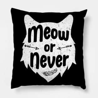 Meow or Never Pillow