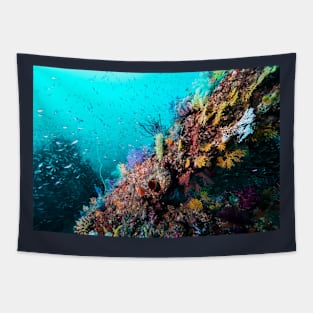 Soft coral kingdom Tapestry