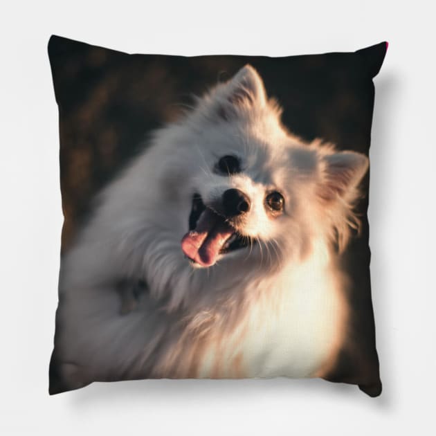 Good Vibes Fluffy Dog Pillow by Peanut Tops