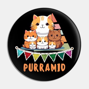 Cat pyramid Pin