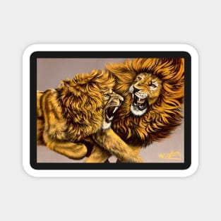 When Lions Collide Magnet