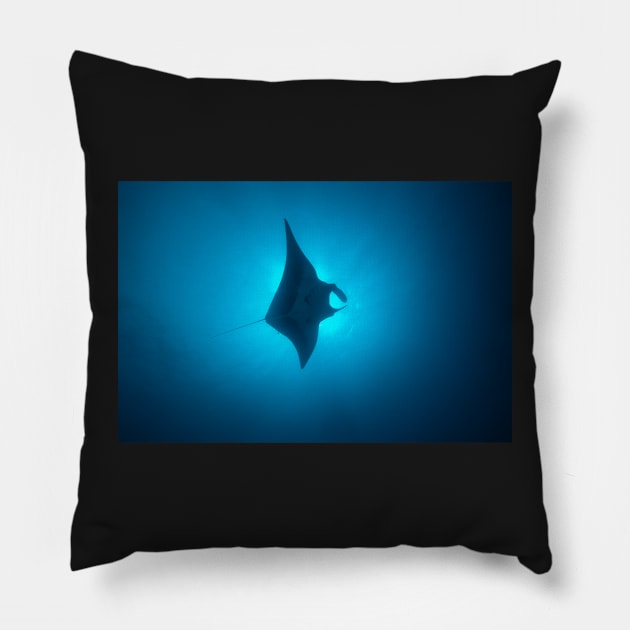 Manta Ray Gliding Through A Sunburst Pillow by jbbarnes