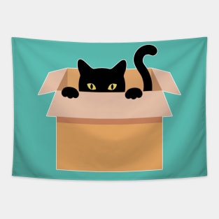 Cat in a box Tapestry