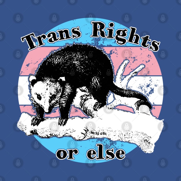 Trans Rights - Opossum by Stephentc