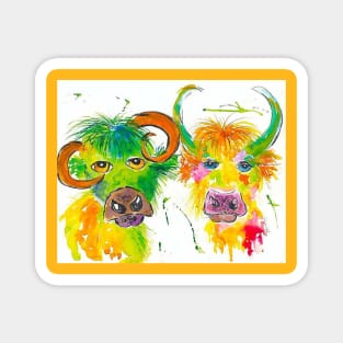 Quirky Colourful Bulls Magnet