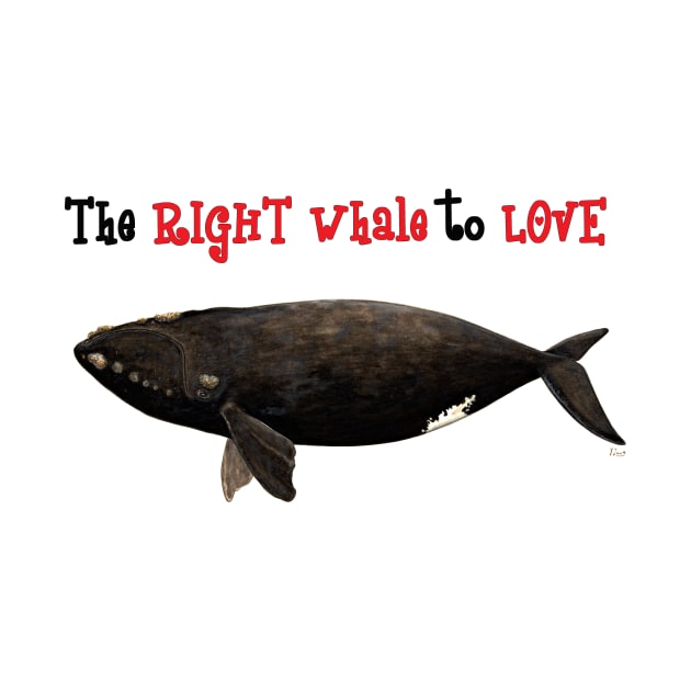 The right whale to love by chloeyzoard