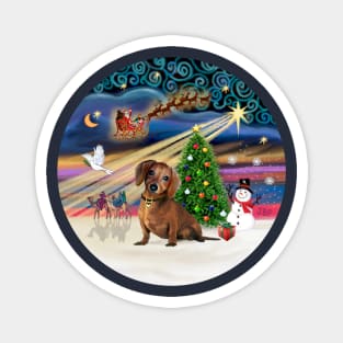 "Christmas Magic" with a Sweet Brown Dachshund Magnet