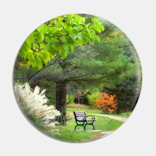 Ornamental Grass in Autumn Park Pin