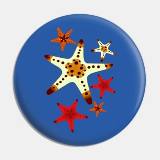 Sea Stars Pin