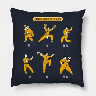 Know Your Kung Fu Pillow