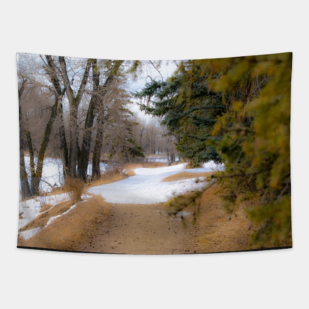 Urban trail Tapestry by CanadianWild418