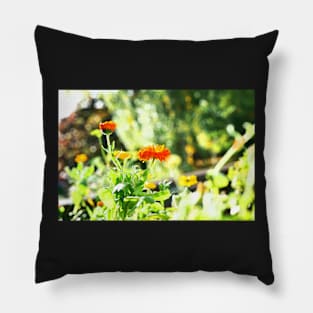 Orange and yellow flowers droplet sunshine Pillow