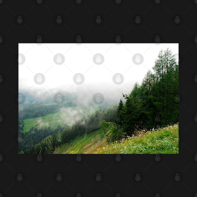 Low Cloud Over Carnic Alps Near Sauris by jojobob