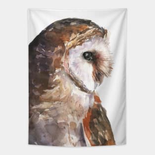 Owl Art Tapestry