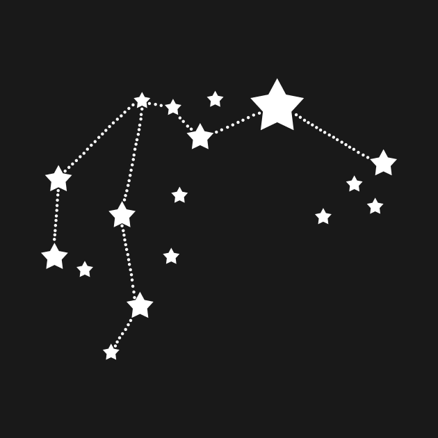 Aquarius Stars Zodiac Constellation by Korry