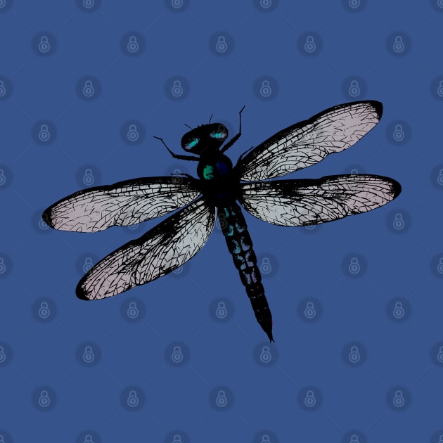 Blue dragonfly vector by Bwiselizzy