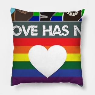 Love has no gender Pillow