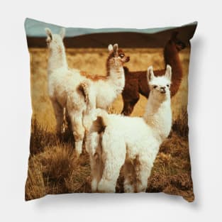 Savana alpaca Pillow