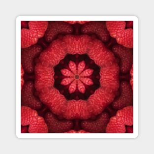 Resplendent Raspberry Kaleidoscope Magnet