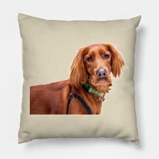 Red Setter Pillow