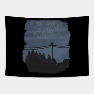 nightsky Tapestry