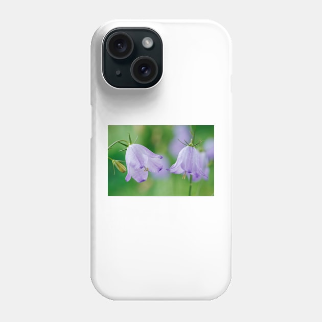 Campanula rotundifolia  Common harebell Phone Case by chrisburrows