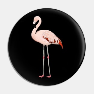 Flamingo Bird Watching Birding Ornithologist Gift Pin