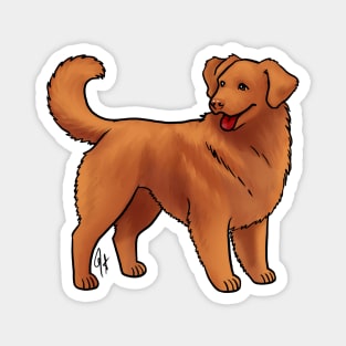 Dog - Nova Scotia Duck Tolling Retriever - Red Magnet