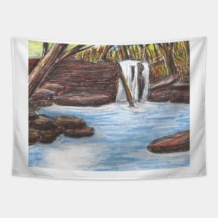 Abrams Falls #3 Tapestry