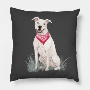 American Staffordshire Terrier Pillow